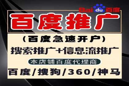 解析某某SEM服务公司的广告投放策略与效果评估