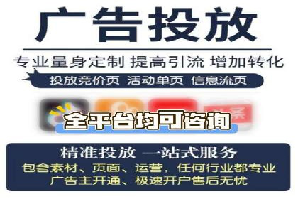 SEM代理助力品牌：案例解析与优化策略